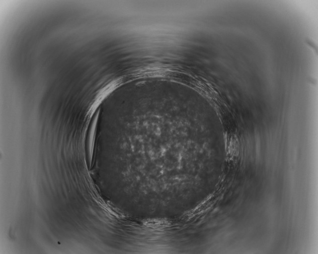 X0000097510099200802291627