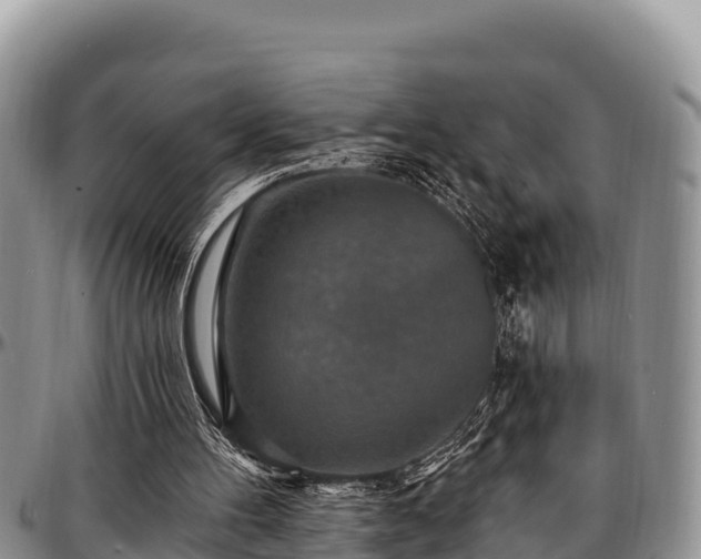 X0000097510100200802291627