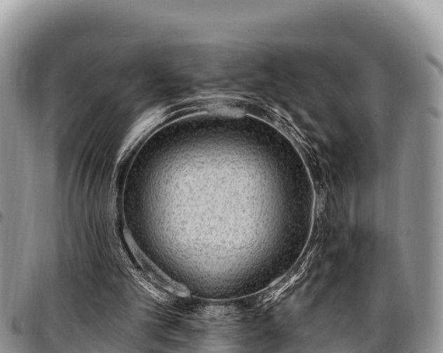 X0000097510101200802291627