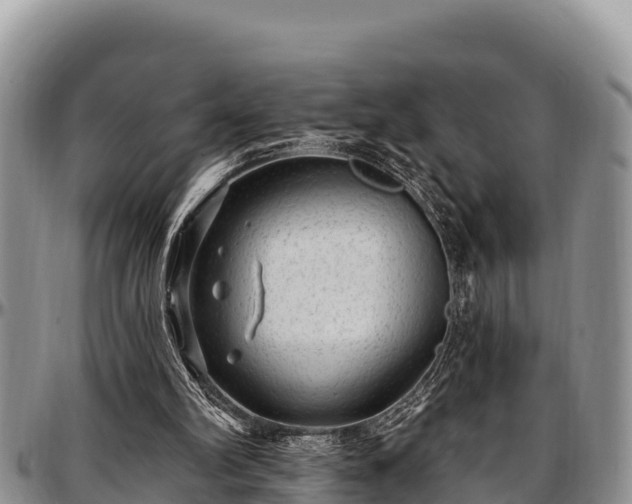 X0000097510102200802291627