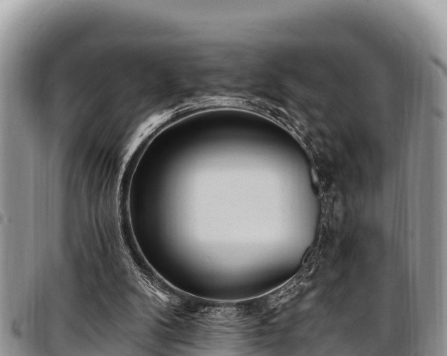 X0000097510104200802291627