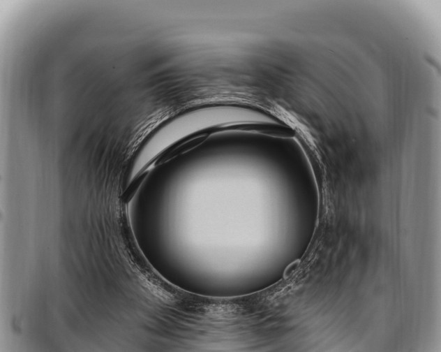 X0000097510105200802291627