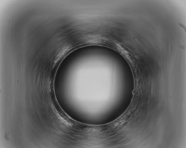 X0000097510106200802291627