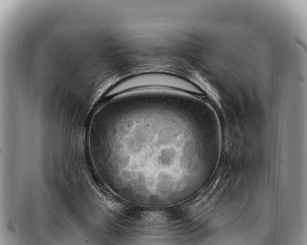 X0000097510107200802291627