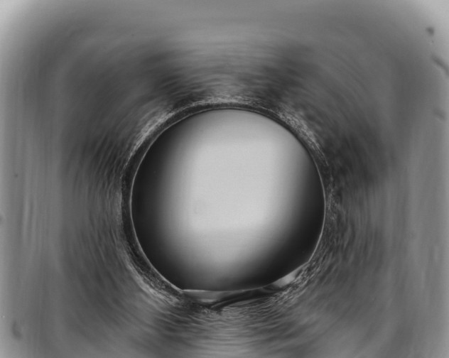 X0000097510108200802291627