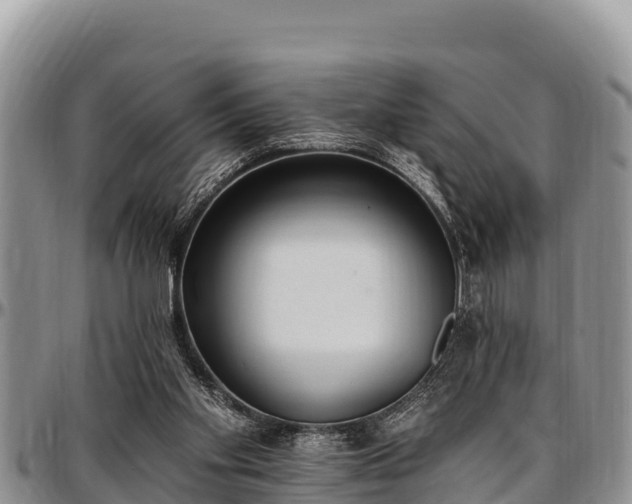 X0000097510109200802291627