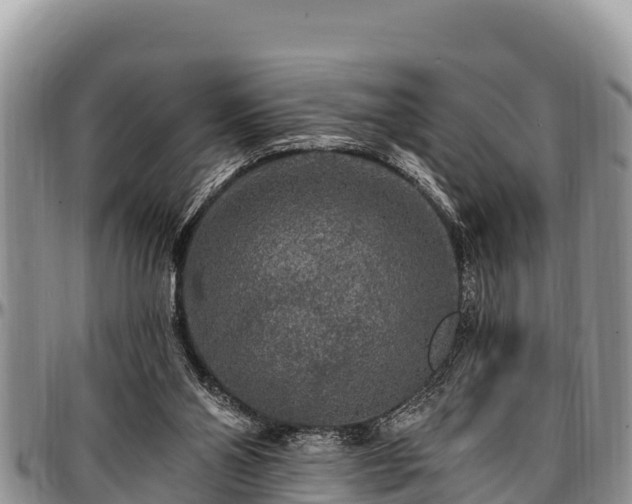 X0000097510110200802291627