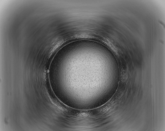 X0000097510111200802291627