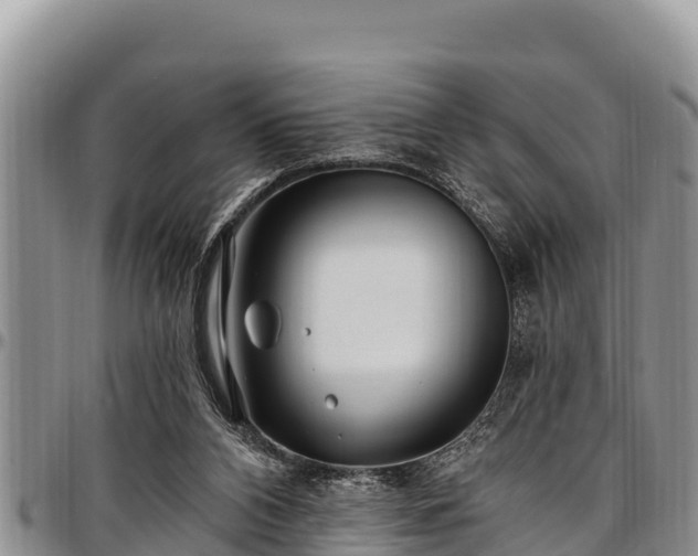 X0000097510112200802291627