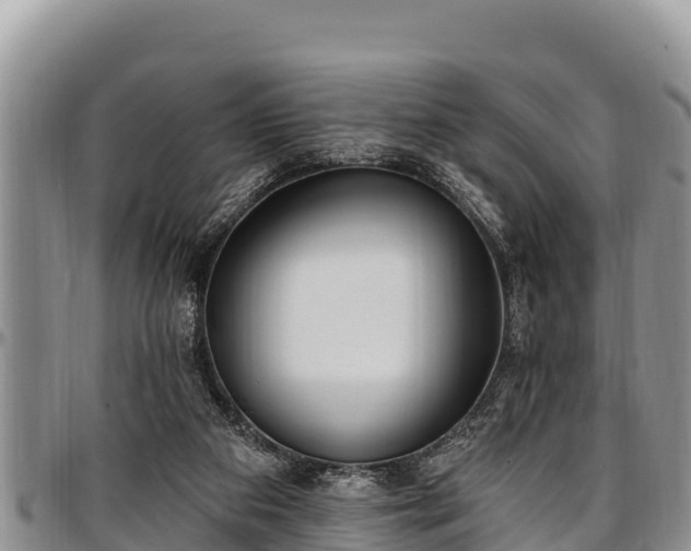 X0000097510113200802291626