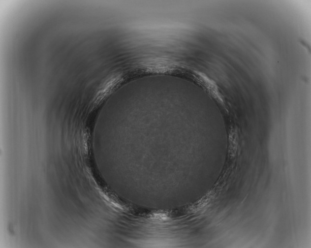 X0000097510114200802291626