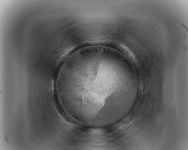 X0000097510115200802291626