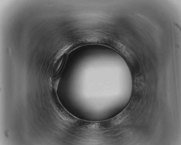 X0000097510116200802291626