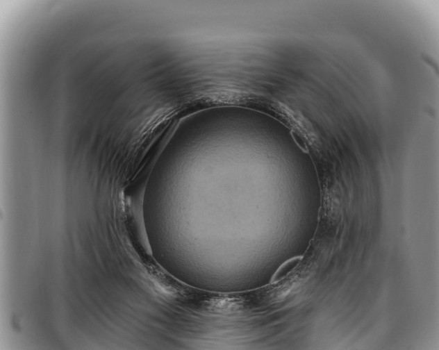 X0000097510117200802291626