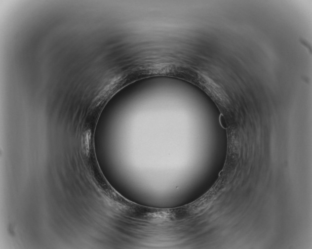 X0000097510118200802291626