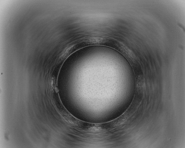 X0000097510119200802291626