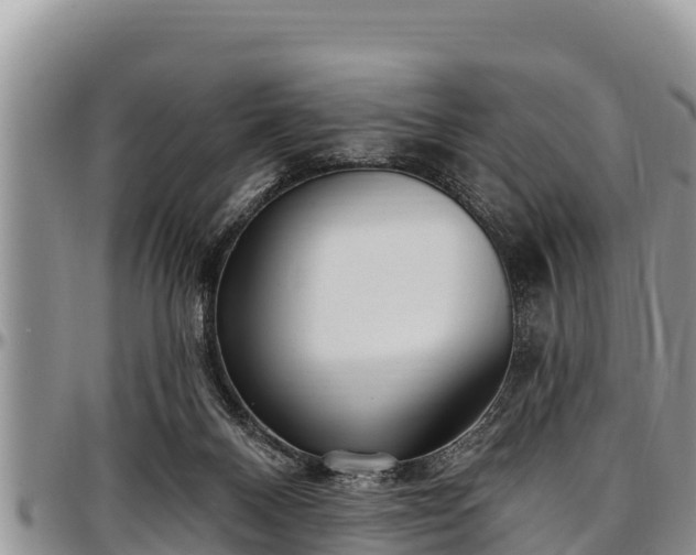 X0000097510120200802291626