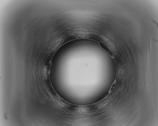 X0000097510121200802291626