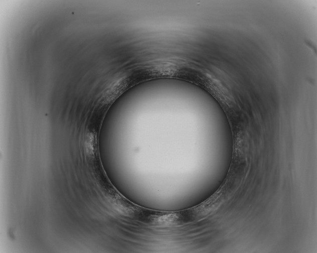 X0000097510122200802291626