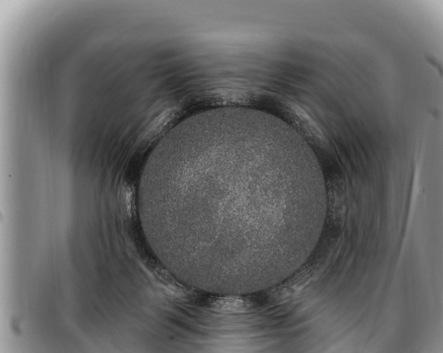 X0000097510123200802291626