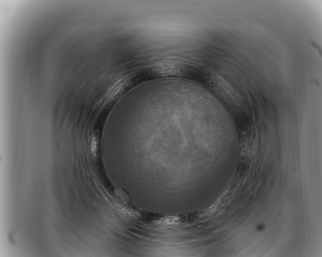 X0000097510124200802291626