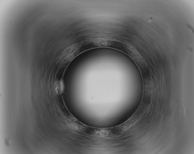 X0000097510125200802291626