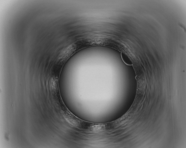 X0000097510126200802291626