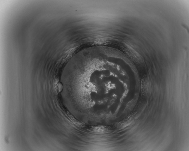 X0000097510127200802291626