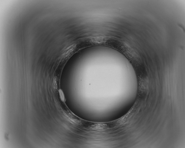 X0000097510128200802291626