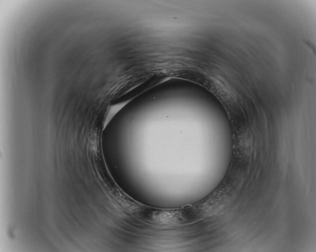 X0000097510129200802291626