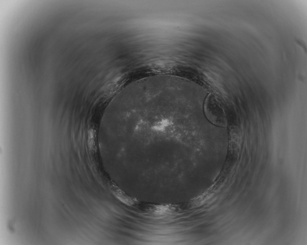 X0000097510130200802291626