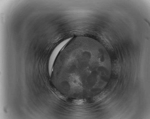 X0000097510131200802291626