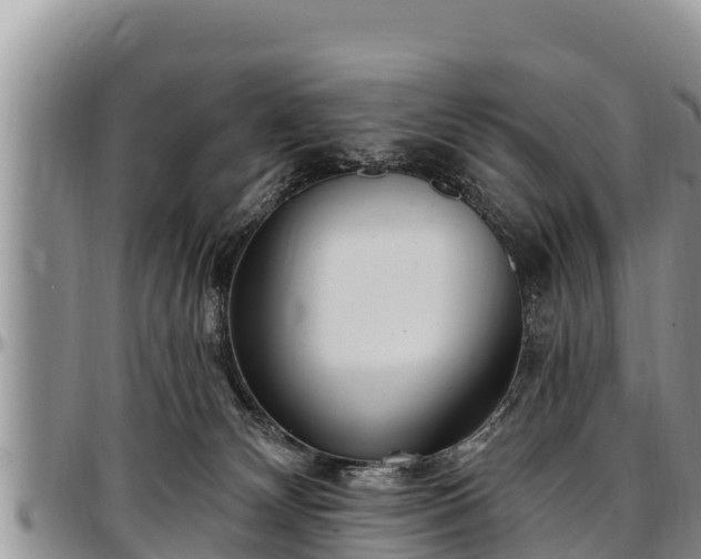 X0000097510132200802291626