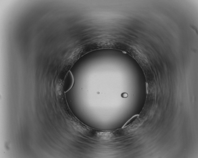 X0000097510133200802291626