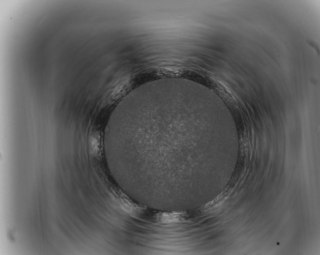 X0000097510134200802291626