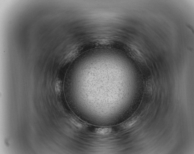 X0000097510135200802291626