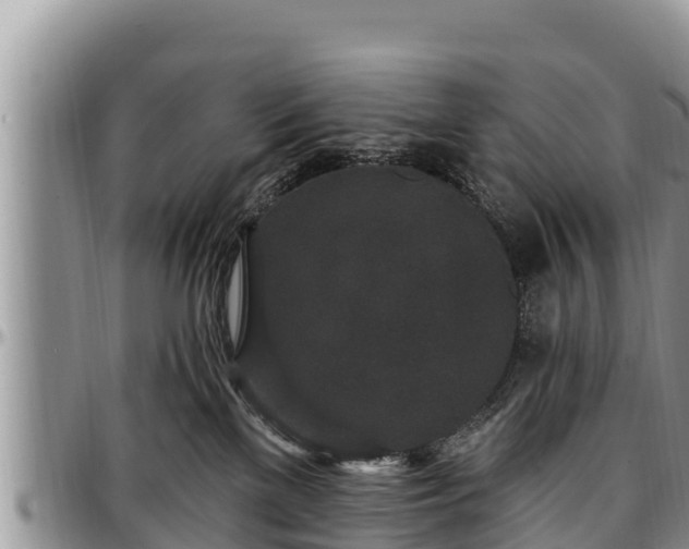 X0000097510137200802291626