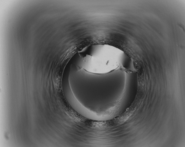 X0000097510139200802291626