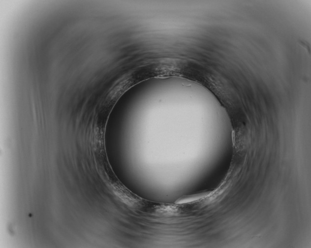 X0000097510140200802291626