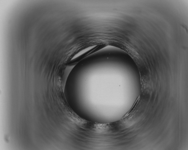 X0000097510141200802291626