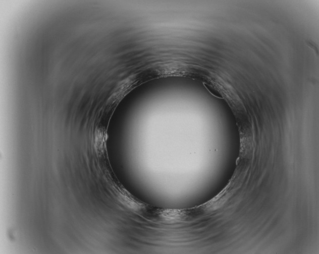 X0000097510142200802291626