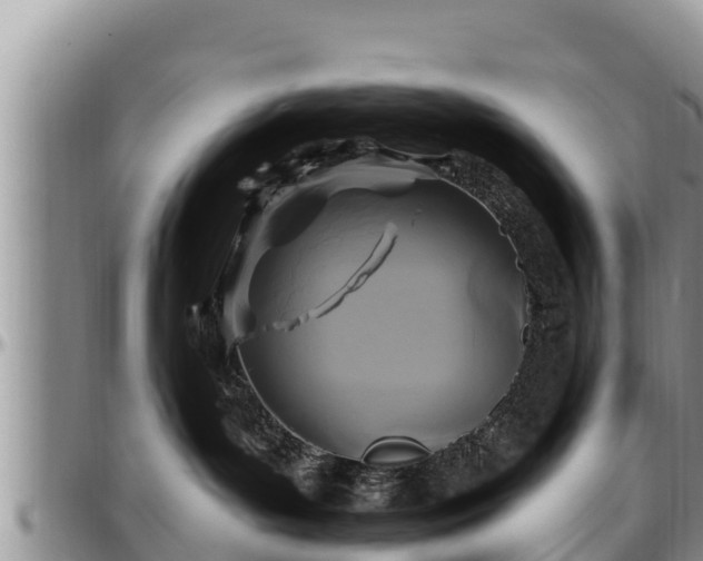 X0000097510143200802291626