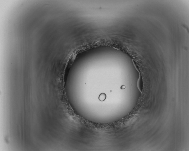 X0000097510144200802291626