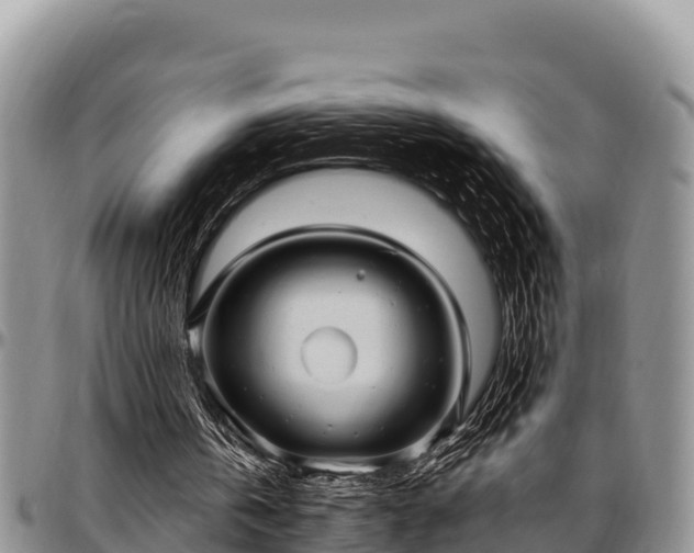 X0000097510146200802291625