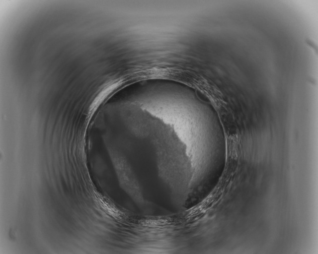 X0000097510147200802291625