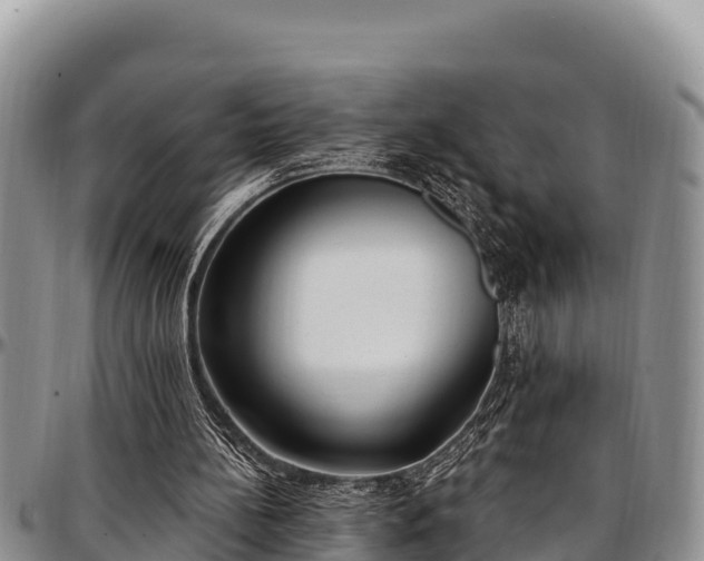 X0000097510148200802291626