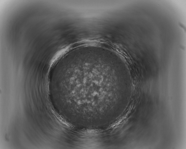 X0000097510149200802291626