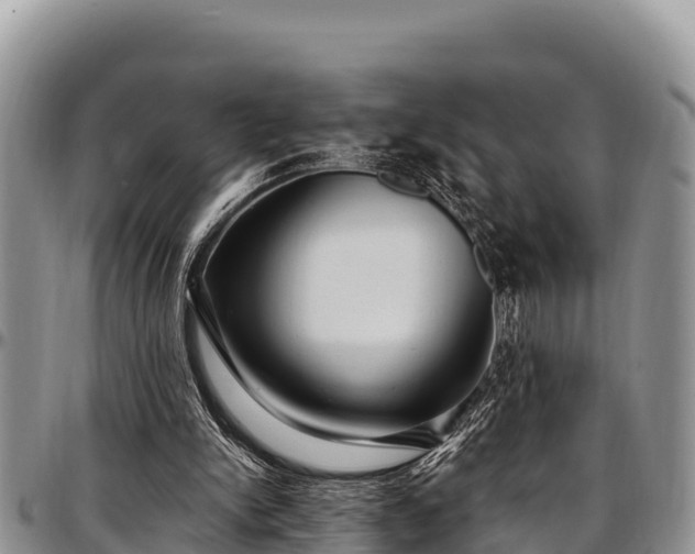 X0000097510150200802291626