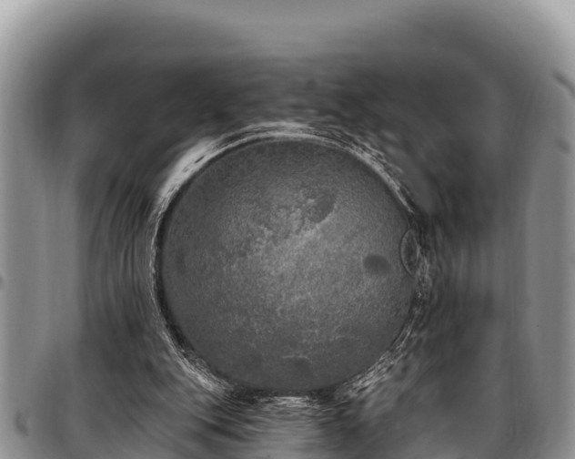 X0000097510151200802291626