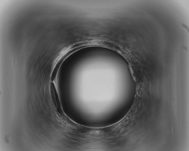 X0000097510152200802291626